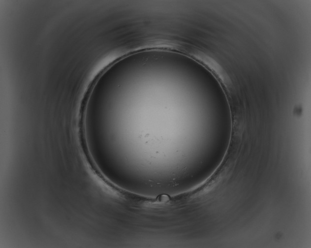X0000096701135200802121157