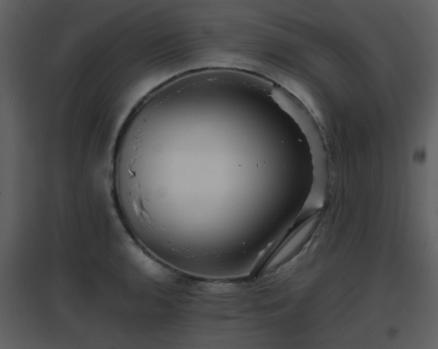 X0000096701136200802121157