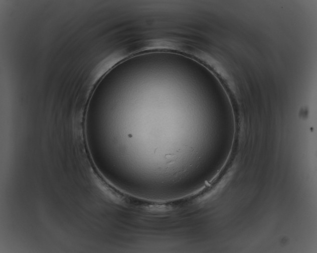 X0000096701137200802121157