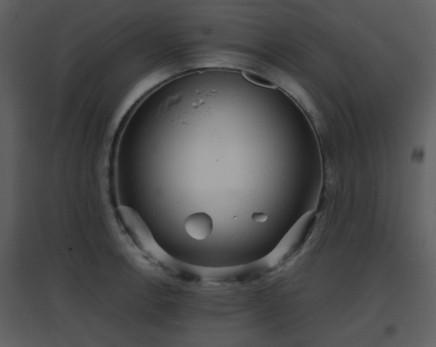 X0000096701138200802121157