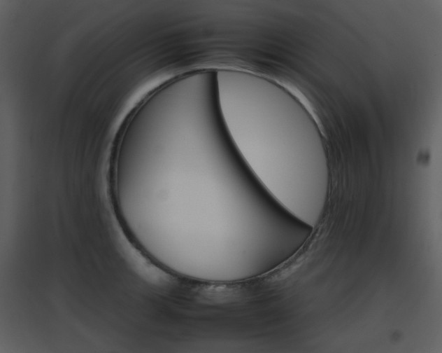X0000096701139200802121157