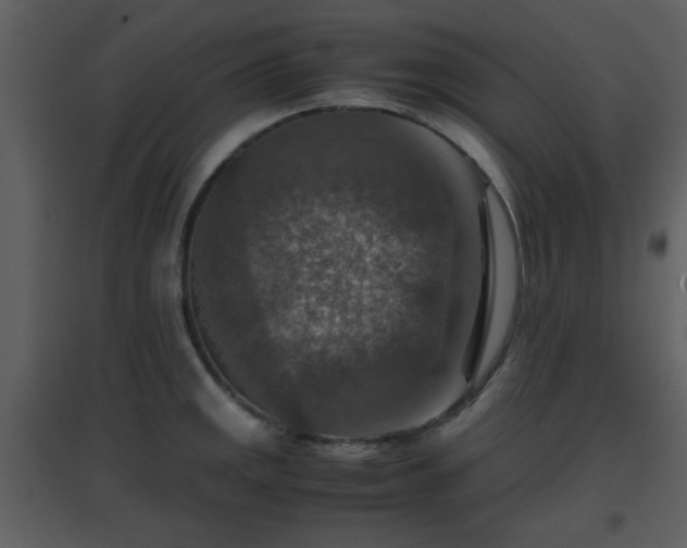 X0000096701141200802121157