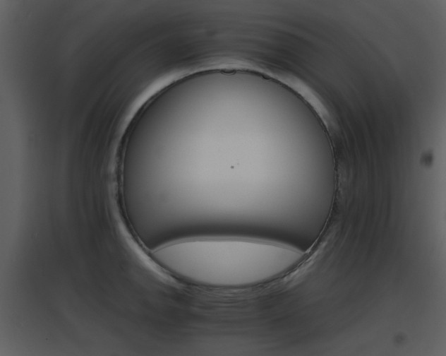 X0000096701142200802121157