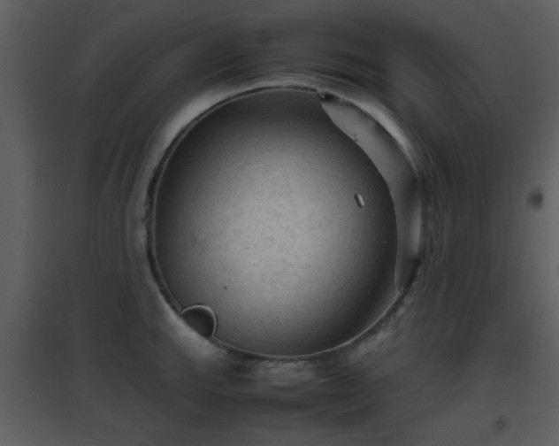 X0000096701143200802121157
