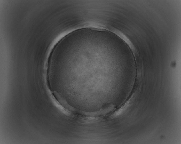 X0000096701144200802121157