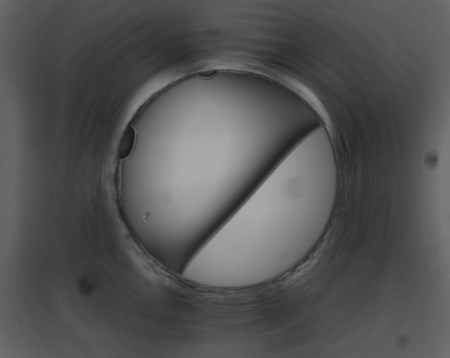 X0000096701146200802121157