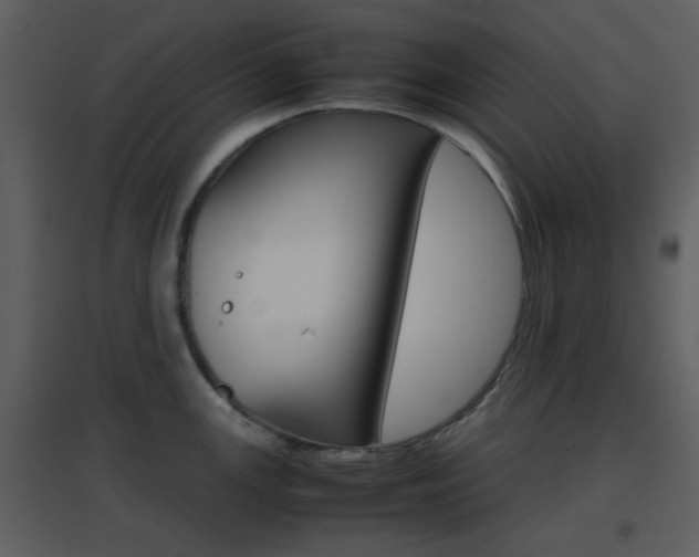 X0000096701147200802121157