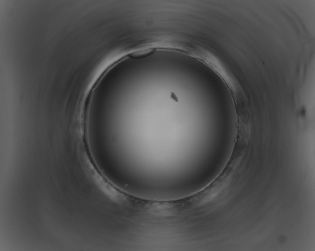 X0000096701148200802121157