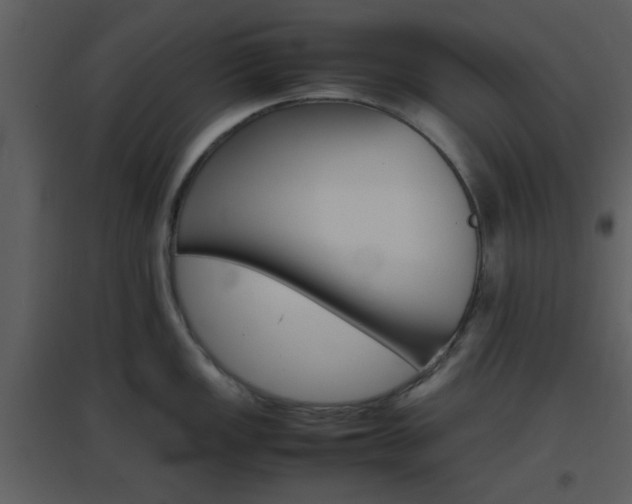 X0000096701149200802121157