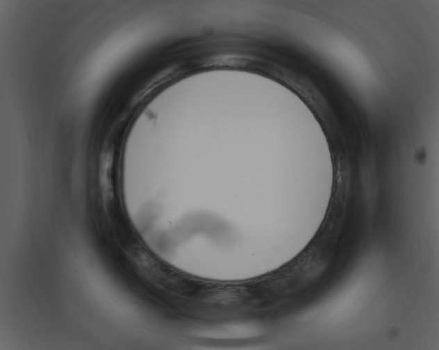 X0000096701150200802121157