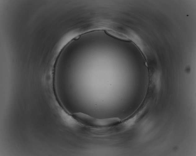 X0000096701151200802121157