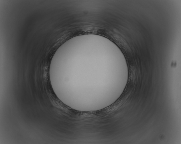 X0000096701154200802121156
