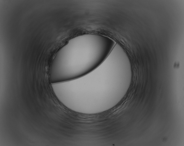 X0000096701156200802121156