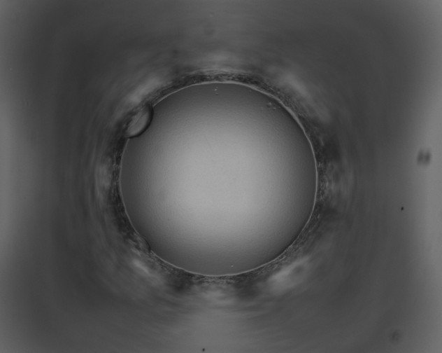 X0000096701157200802121156