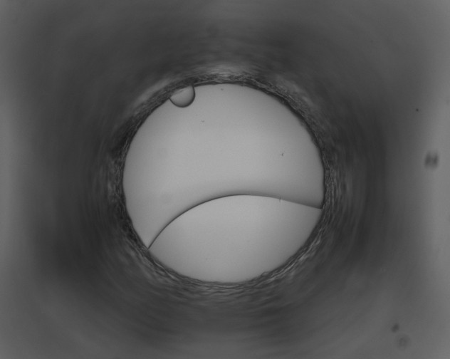 X0000096701158200802121156
