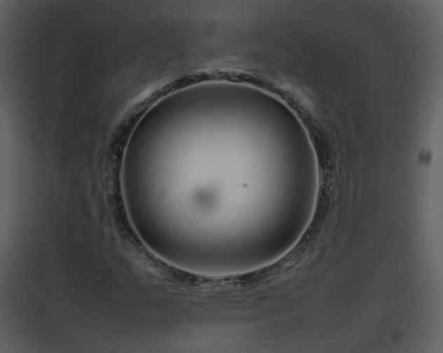 X0000096701159200802121156