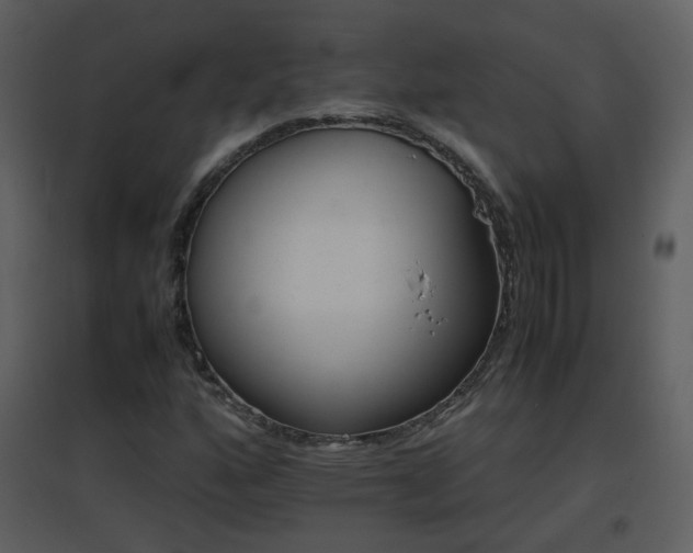 X0000096701160200802121156