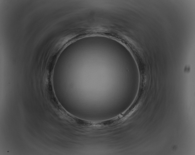 X0000096701161200802121156