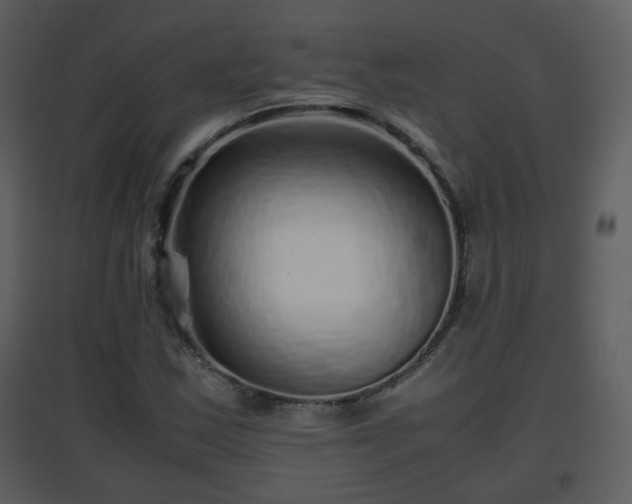 X0000096701163200802121156