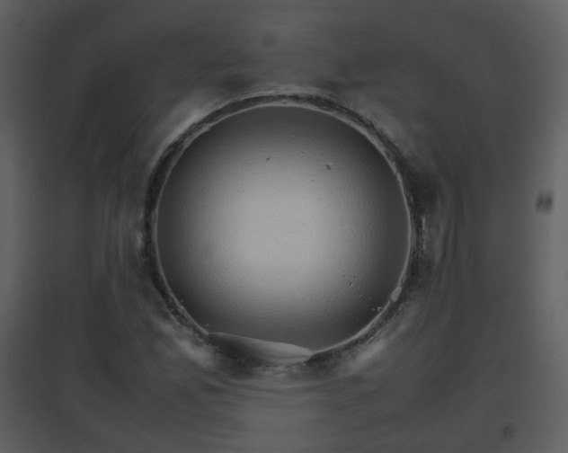 X0000096701165200802121156