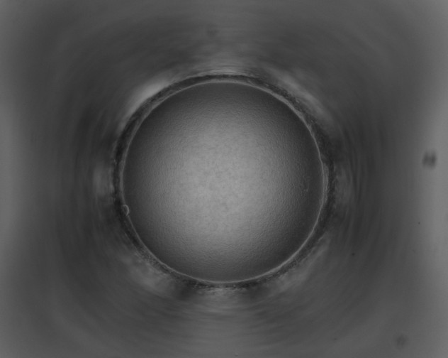 X0000096701166200802121156