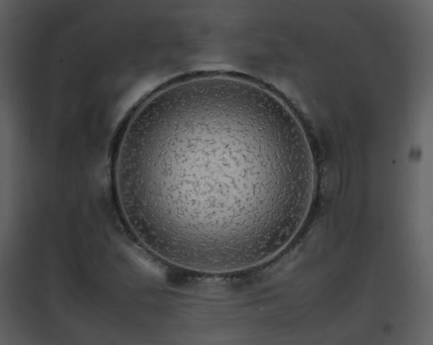 X0000096701167200802121156