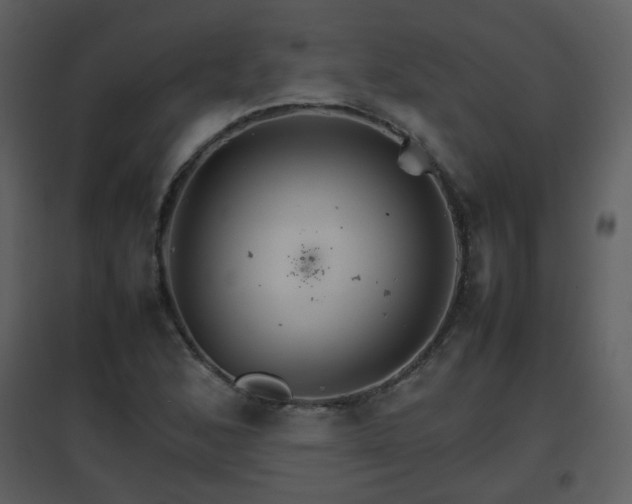 X0000096701168200802121156