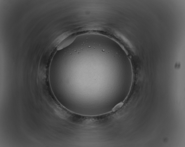 X0000096701169200802121156