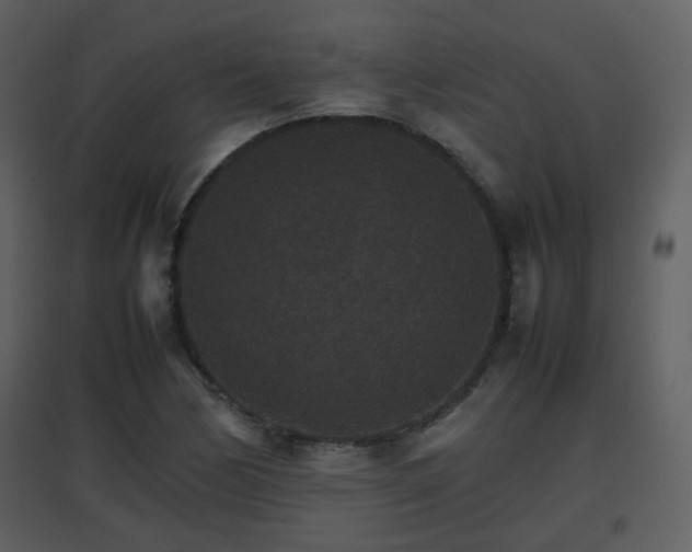 X0000096701170200802121156