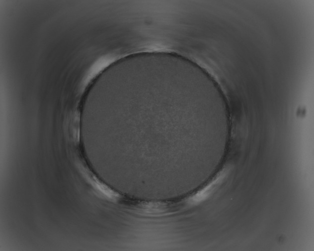 X0000096701171200802121156
