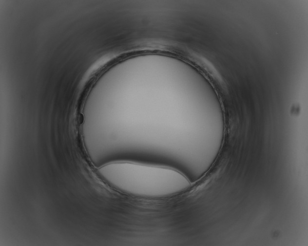 X0000096701172200802121156