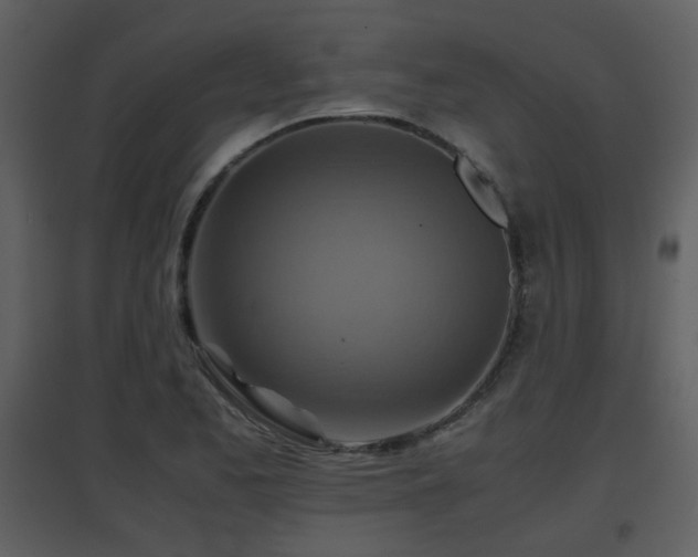 X0000096701173200802121156