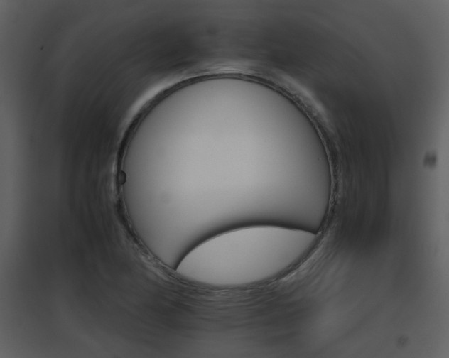X0000096701174200802121156