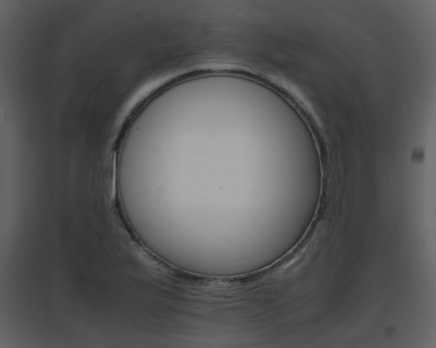 X0000096701175200802121156
