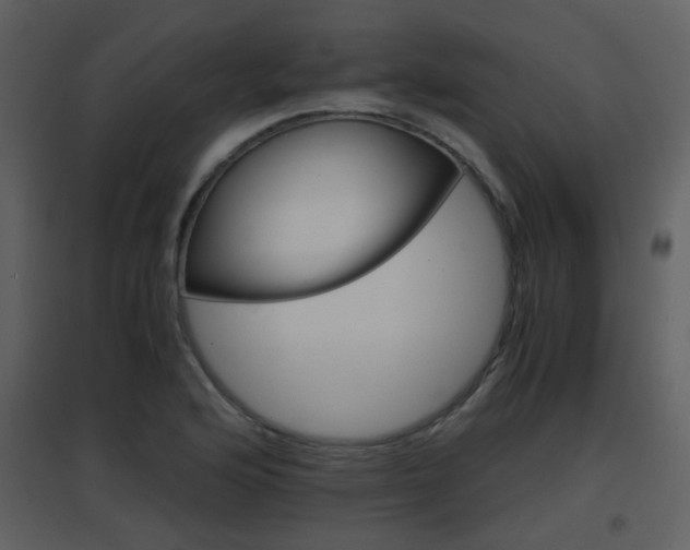 X0000096701176200802121156