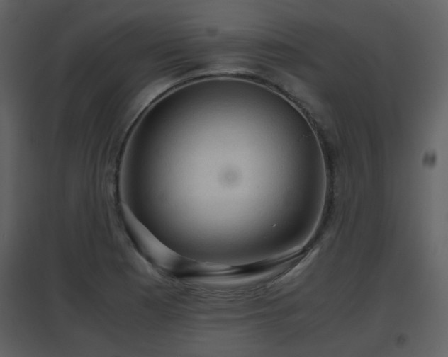 X0000096701177200802121156