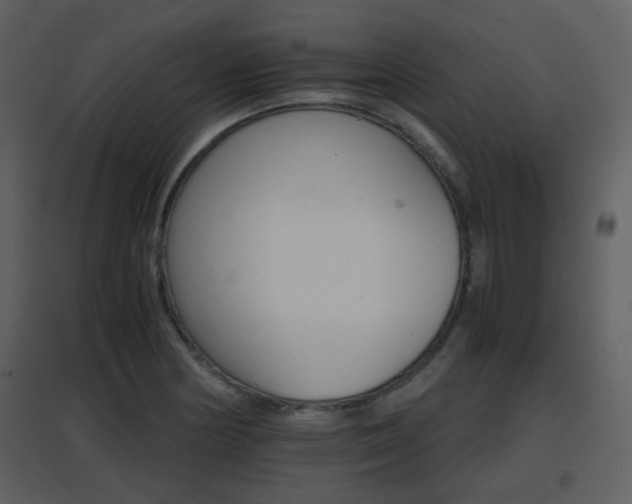 X0000096701178200802121156
