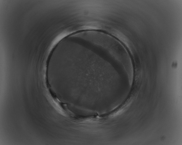 X0000096701179200802121156