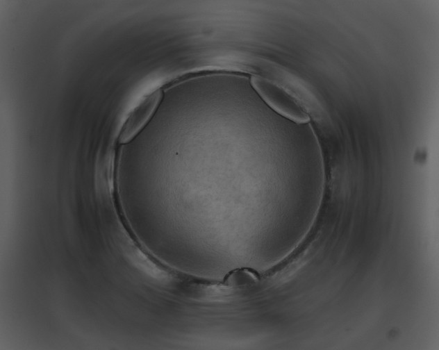 X0000096701180200802121156