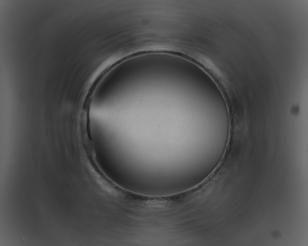 X0000096701181200802121156