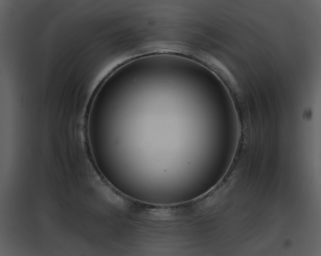 X0000096701182200802121156