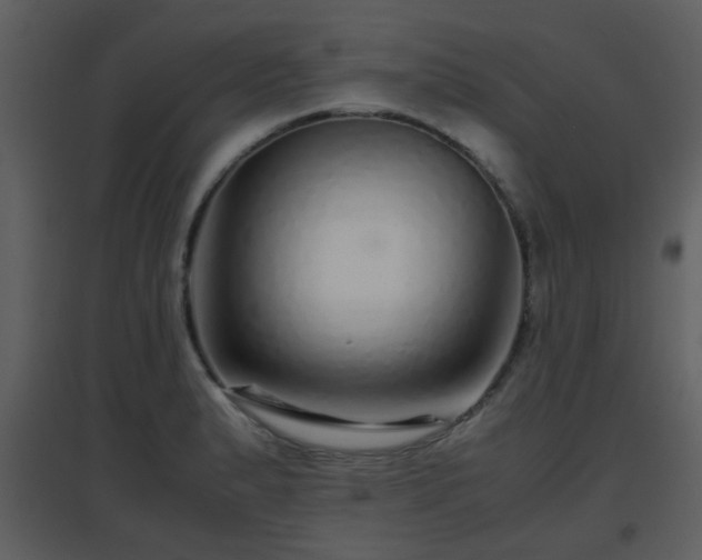 X0000096701183200802121156