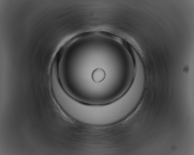 X0000096701184200802121156