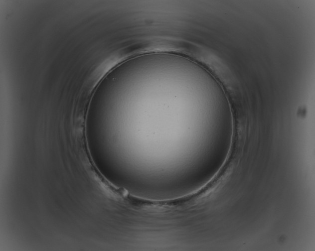 X0000096701185200802121156