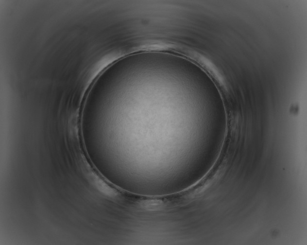 X0000096701186200802121156