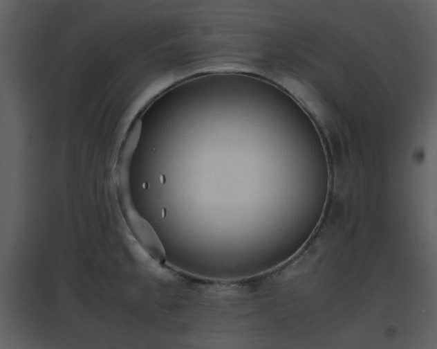 X0000096701189200802121156