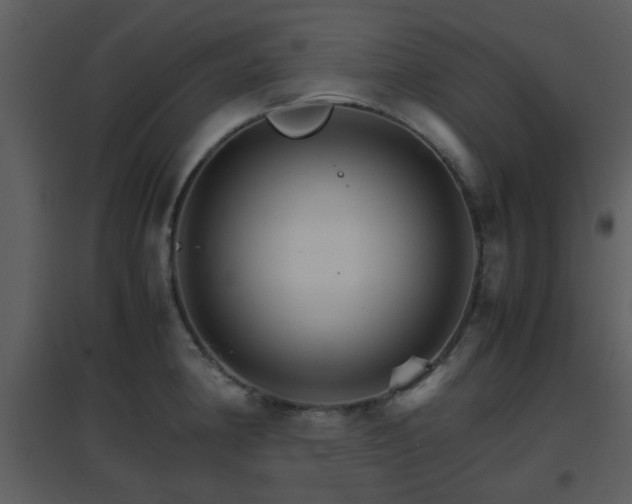 X0000096701190200802121156