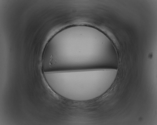 X0000096701191200802121156