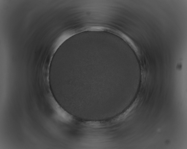 X0000096701194200802121156