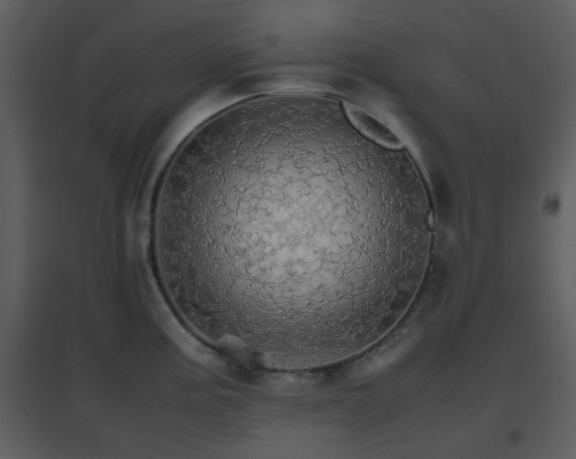 X0000096701195200802121156